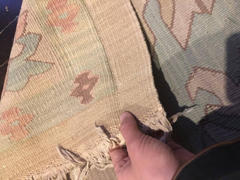 17622622_10103367709959133_472794067_o.jpg