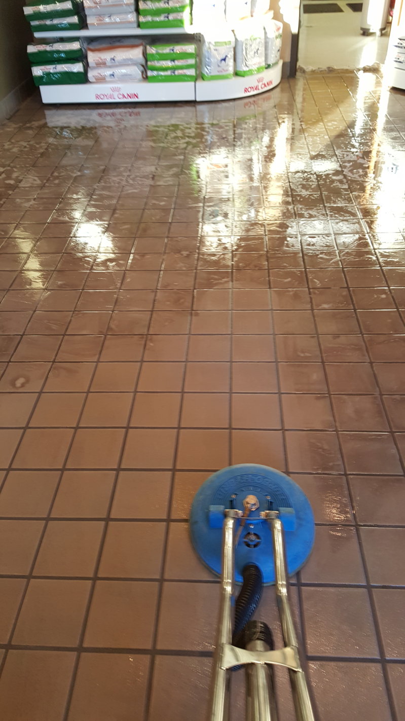 2015-11-08 16.04.17.jpg