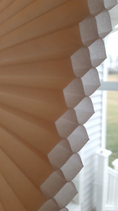 20170118_150657.jpg