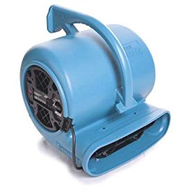 31v9UsYXLXL._SL500_AA280_.jpg