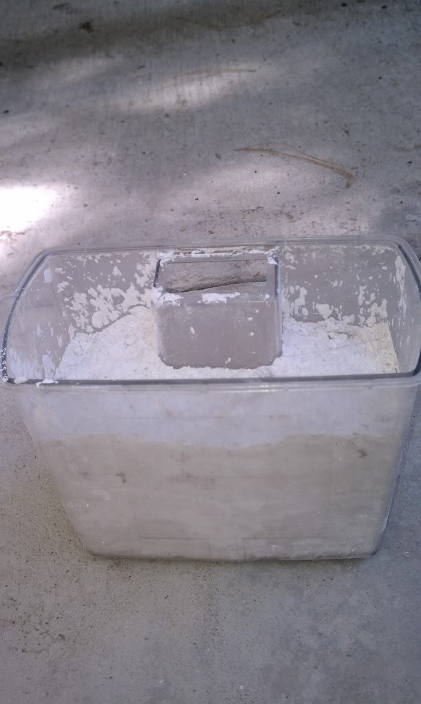 IMAG0012.jpg
