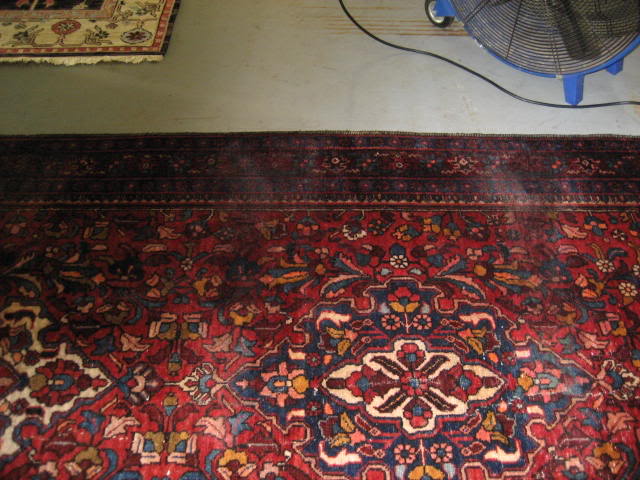 marshsrugs004.jpg