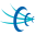 cfvein.com