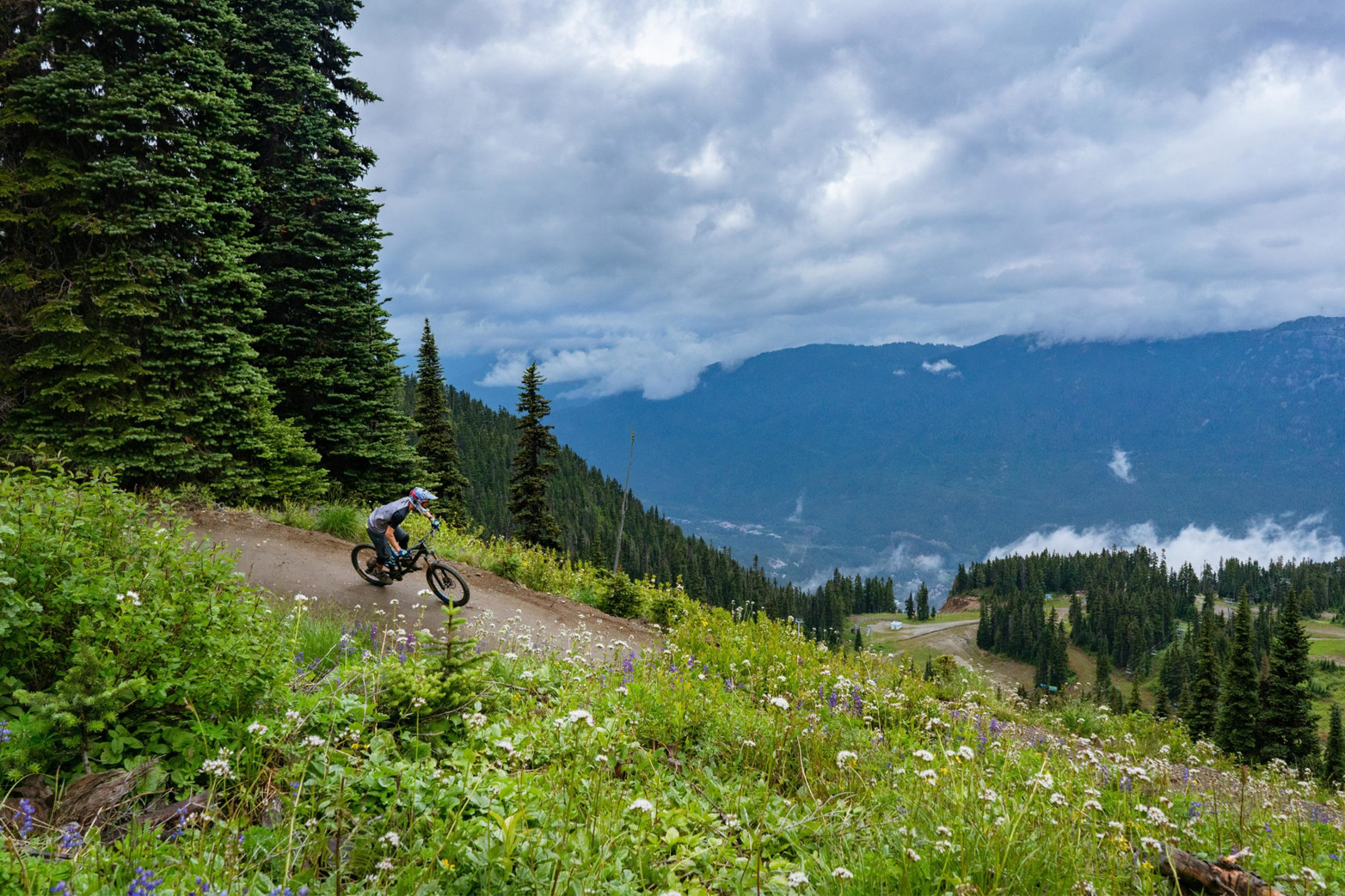 www.singletracks.com